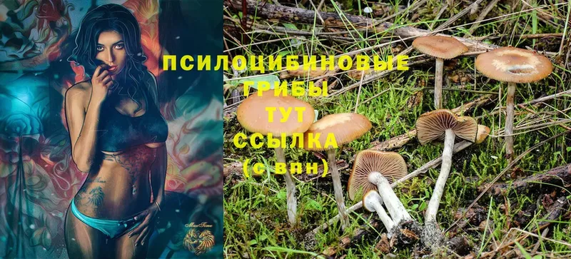 Наркотические вещества Бугульма MDMA  АМФ  Экстази  Мефедрон  КОКАИН  ГАШИШ 