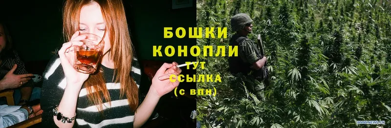 где купить   Бугульма  Канабис Ganja 